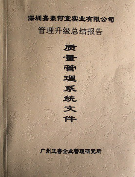 深圳市嘉豪何室實(shí)業(yè)有限公司管理升級(jí)總結(jié)報(bào)告