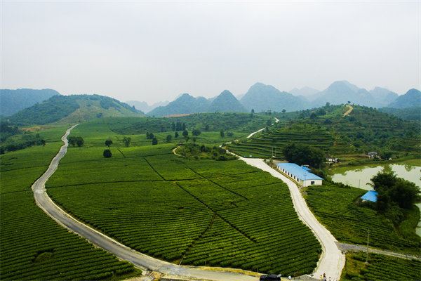 清遠(yuǎn)管理咨詢機(jī)構(gòu)的定制化服務(wù)方面包含哪些內(nèi)容？