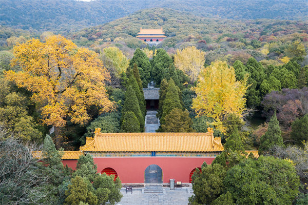 集團(tuán)與子公司管控失衡，南京集團(tuán)管控咨詢公司如何重塑協(xié)同體系？